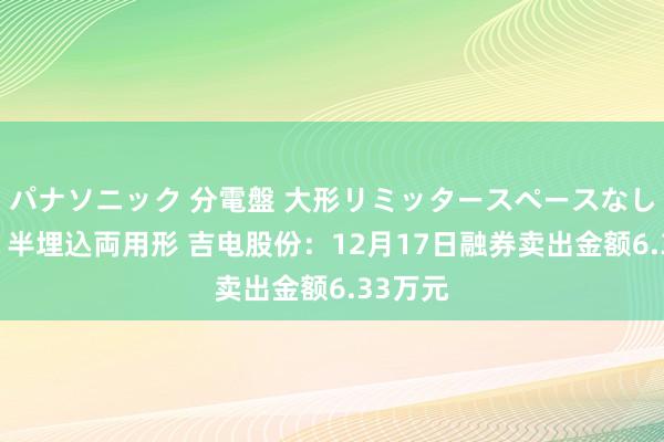 パナソニック 分電盤 大形リミッタースペースなし 露出・半埋込両用形 吉电股份：12月17日融券卖出金额6.33万元