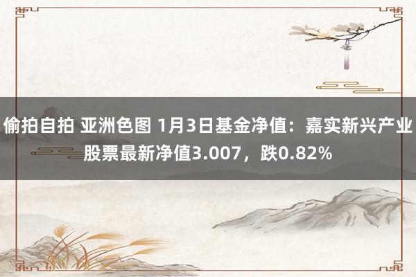 偷拍自拍 亚洲色图 1月3日基金净值：嘉实新兴产业股票最新净值3.007，跌0.82%