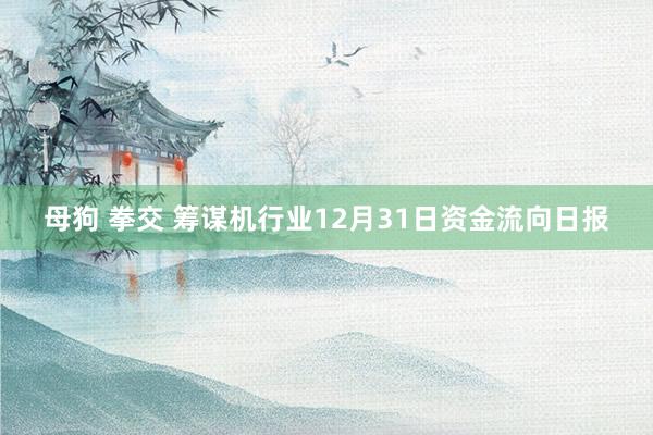 母狗 拳交 筹谋机行业12月31日资金流向日报