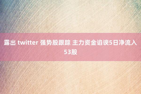 露出 twitter 强势股跟踪 主力资金谄谀5日净流入53股