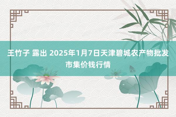 王竹子 露出 2025年1月7日天津碧城农产物批发市集价钱行情