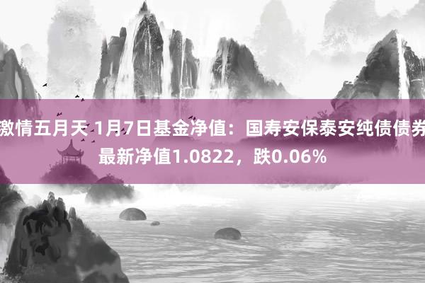 激情五月天 1月7日基金净值：国寿安保泰安纯债债券最新净值1.0822，跌0.06%