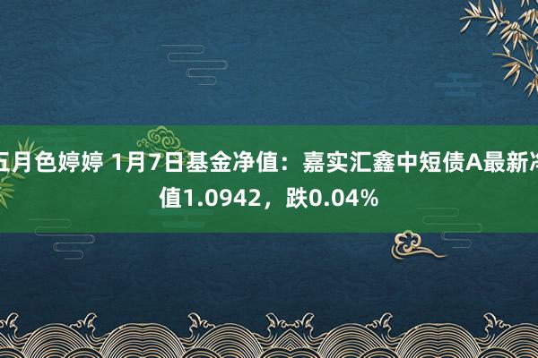 五月色婷婷 1月7日基金净值：嘉实汇鑫中短债A最新净值1.0942，跌0.04%