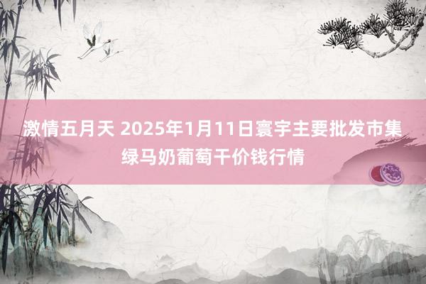 激情五月天 2025年1月11日寰宇主要批发市集绿马奶葡萄干价钱行情