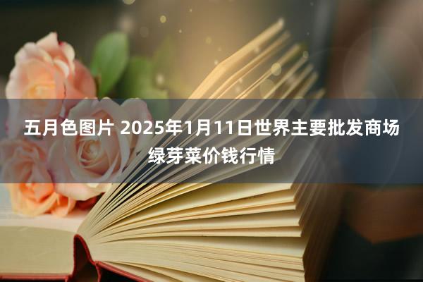 五月色图片 2025年1月11日世界主要批发商场绿芽菜价钱行情