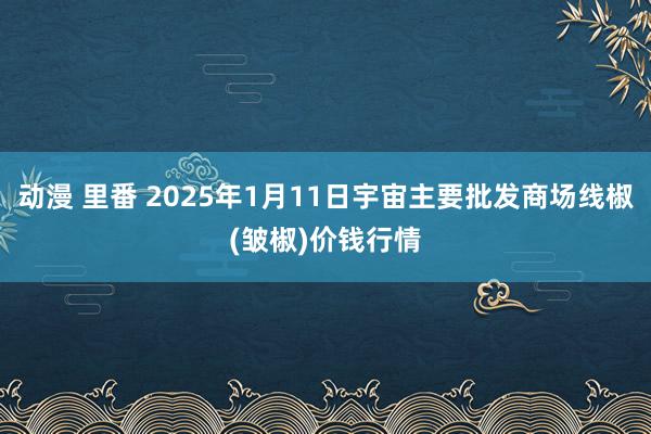 动漫 里番 2025年1月11日宇宙主要批发商场线椒(皱椒)价钱行情