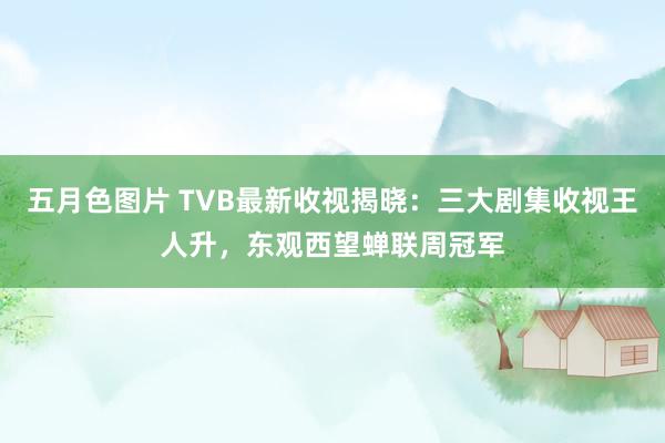 五月色图片 TVB最新收视揭晓：三大剧集收视王人升，东观西望蝉联周冠军