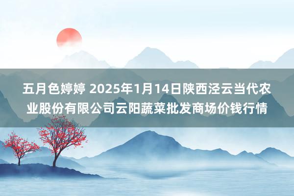 五月色婷婷 2025年1月14日陕西泾云当代农业股份有限公司云阳蔬菜批发商场价钱行情