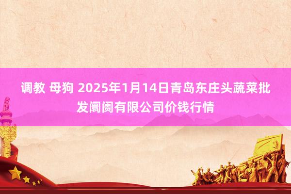 调教 母狗 2025年1月14日青岛东庄头蔬菜批发阛阓有限公司价钱行情