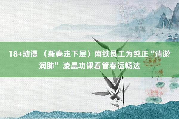 18+动漫 （新春走下层）南铁员工为纯正“清淤润肺” 凌晨功课看管春运畅达